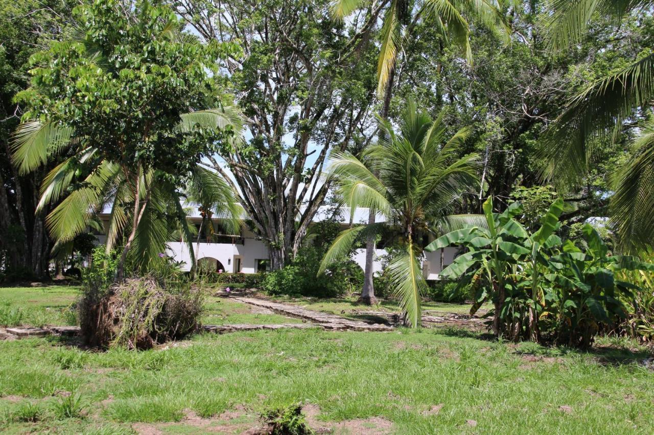 Appartement Paradise Breeze 2Bdr Near Quepos Manuel Antonio Extérieur photo